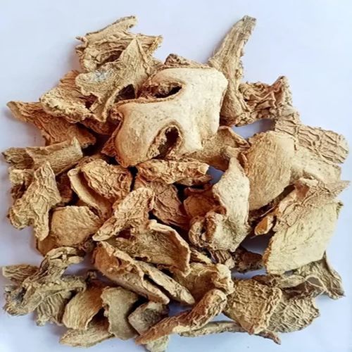 Sustainable farming and soil health